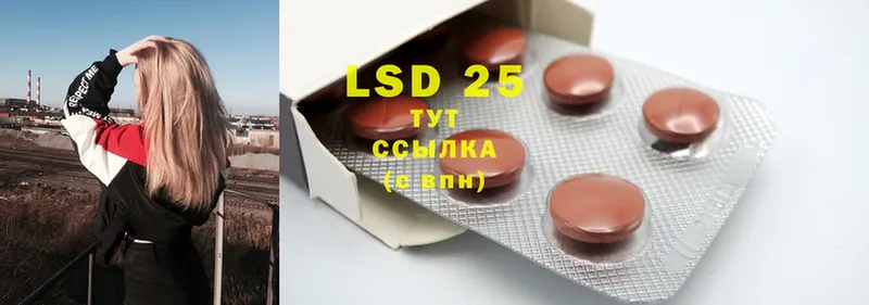 закладки  Волхов  LSD-25 экстази кислота 